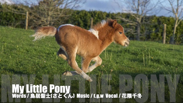 [作詞担当] My Little Pony / t.g.w