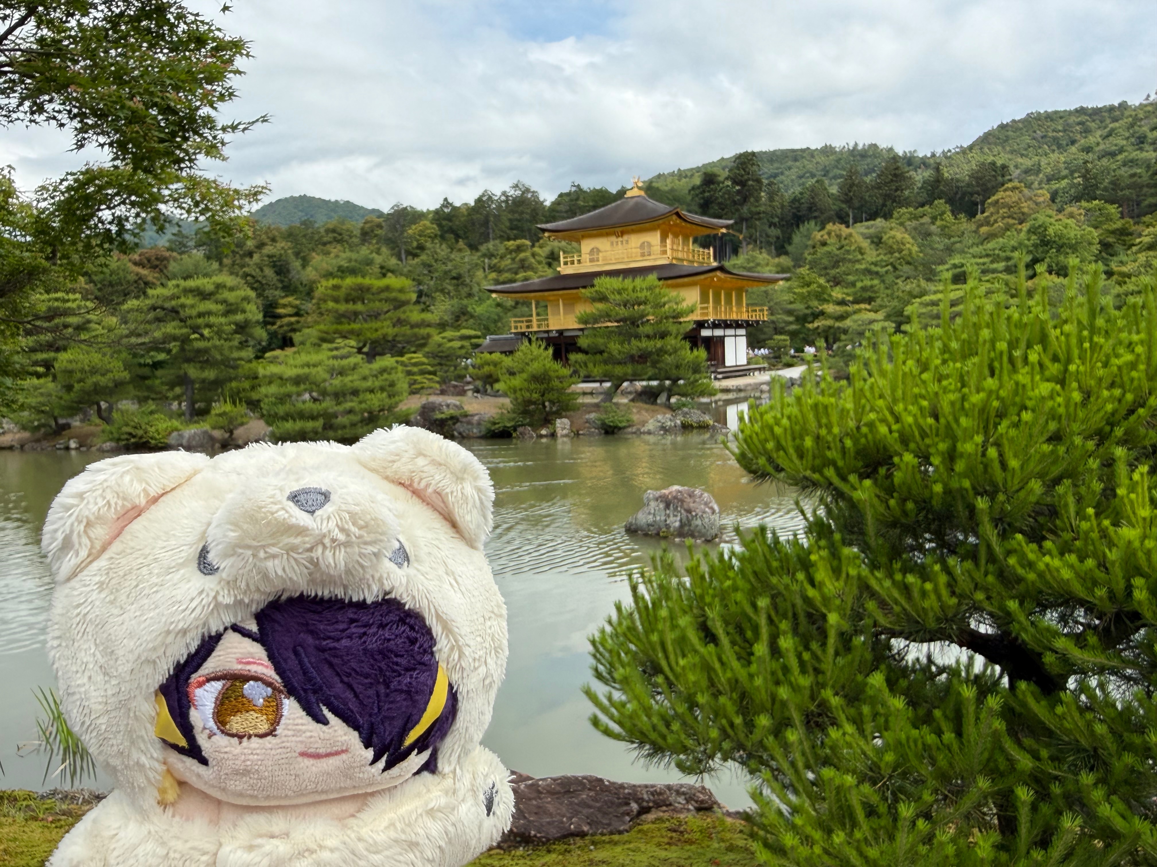 6月 京都