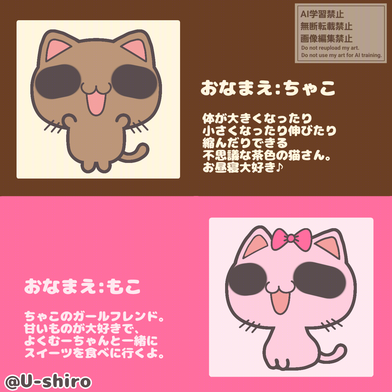 猫紹介①