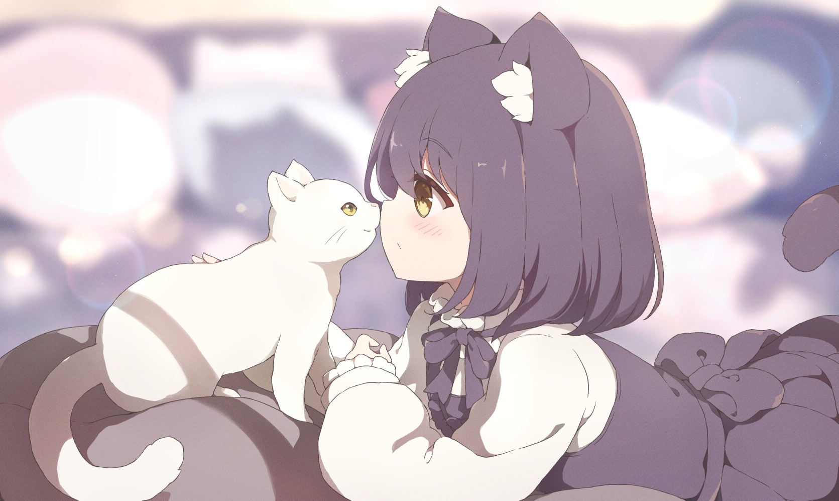 にゃんこ