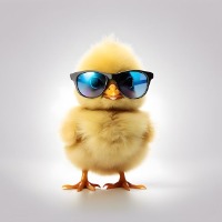 User Icon