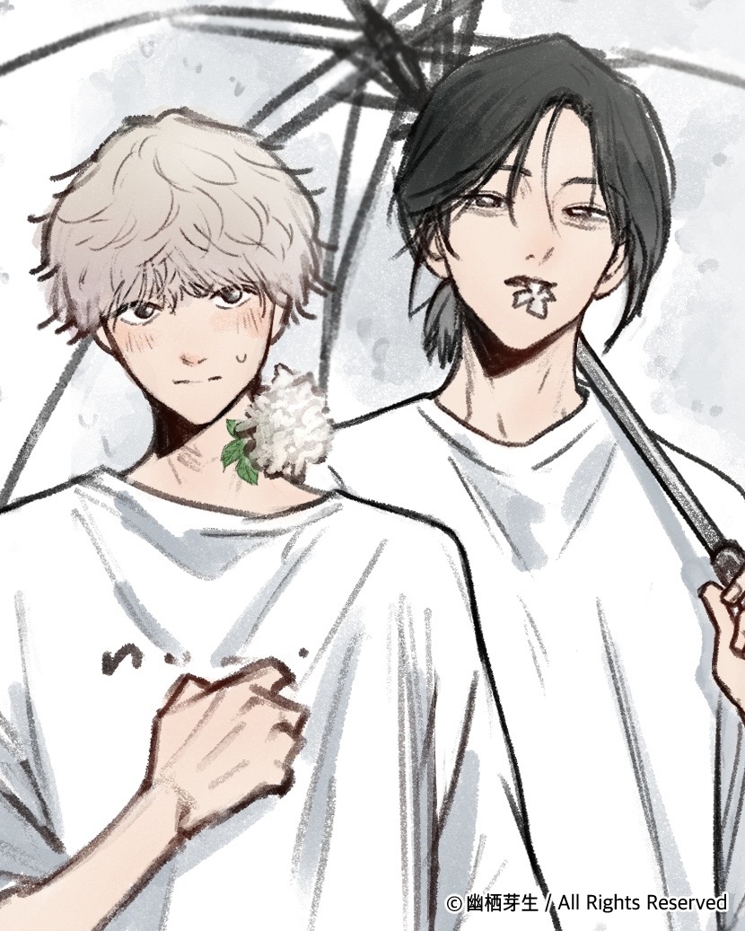 ❏ 霞色のアジサイ
